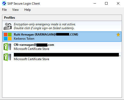 Sap Secure Login Client 3.0